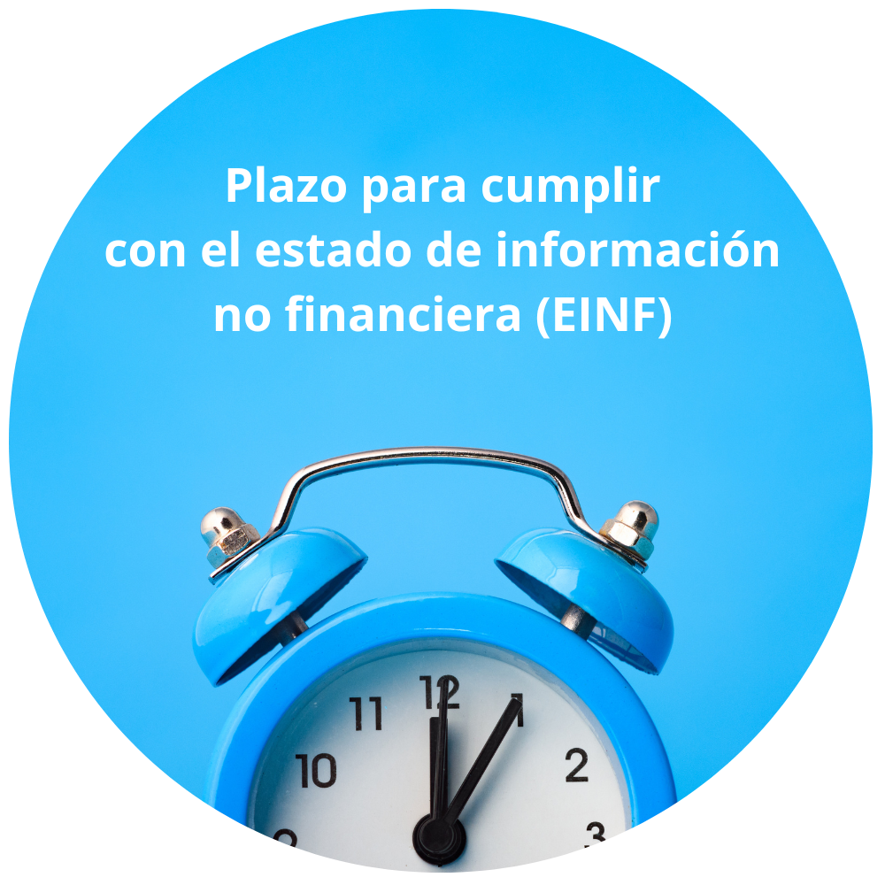 Plazos Verificar EINF